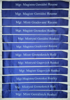 Vypravěči okamžiku - Magistři Aplikované Improvizace